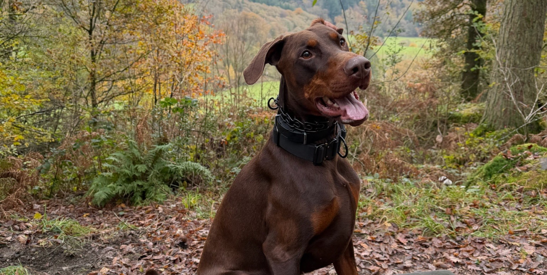 contact-our-team-today-and-find-out-how-we-can-protect-your-family