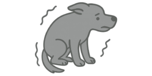 lets-help-you-and-your-dog-feel-comfortable-in-any-environment