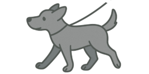 start-to-enjoy-stress-free-walks-with-a-loose-lead