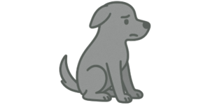 we-will-help-you-create-a-well-balanced-companion