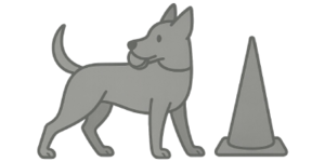 we-will-implement-a-realistic-training-regime-which-is-right-for-you-and-the-dog